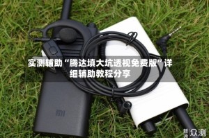 实测辅助“腾达填大坑透视免费版”详细辅助教程分享