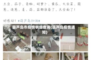 葫芦岛市疫情明细查询(葫芦岛疫情通知)