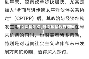 【越南疫情怎么,越南疫情现在如何】