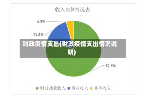 财政疫情支出(财政疫情支出情况说明)