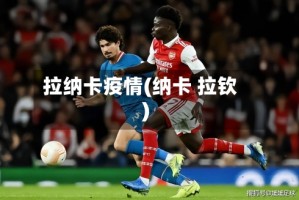 拉纳卡疫情(纳卡 拉钦)