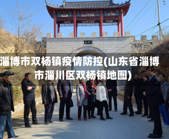 淄博市双杨镇疫情防控(山东省淄博市淄川区双杨镇地图)