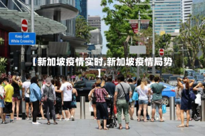 【新加坡疫情实时,新加坡疫情局势】