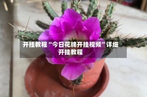 开挂教程“今日花牌开挂视频”详细开挂教程