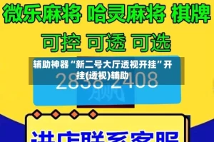 辅助神器“新二号大厅透视开挂”开挂(透视)辅助
