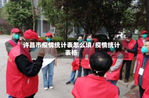 许昌市疫情统计表怎么填/疫情统计表格