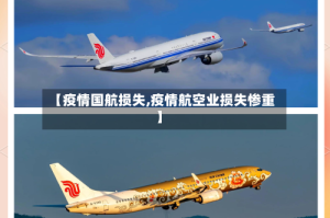 【疫情国航损失,疫情航空业损失惨重】
