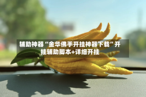 辅助神器“金华佛手开挂神器下载”开挂辅助脚本+详细开挂