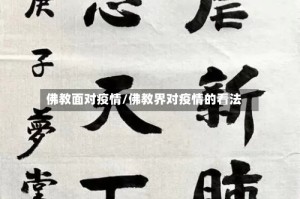 佛教面对疫情/佛教界对疫情的看法