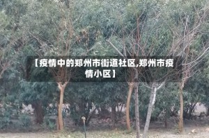【疫情中的郑州市街道社区,郑州市疫情小区】