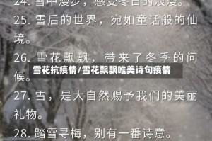雪花抗疫情/雪花飘飘唯美诗句疫情