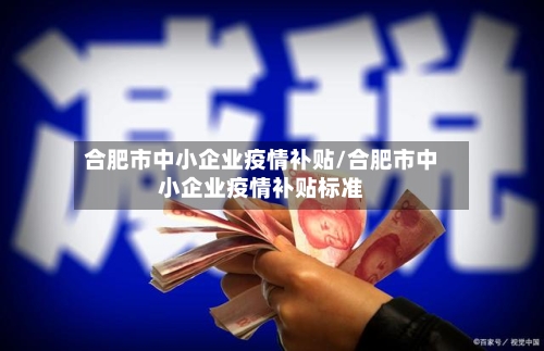 合肥市中小企业疫情补贴/合肥市中小企业疫情补贴标准-第2张图片