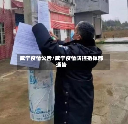 咸宁疫情公告/咸宁疫情防控指挥部通告-第1张图片