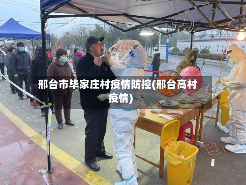 邢台市毕家庄村疫情防控(邢台高村疫情)-第3张图片