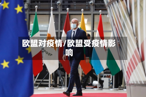 欧盟对疫情/欧盟受疫情影响-第2张图片