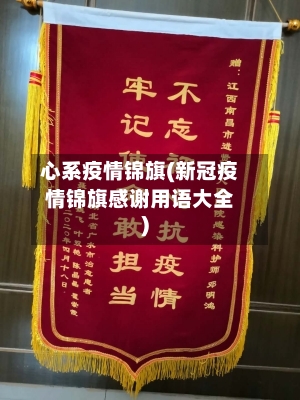 心系疫情锦旗(新冠疫情锦旗感谢用语大全)-第2张图片