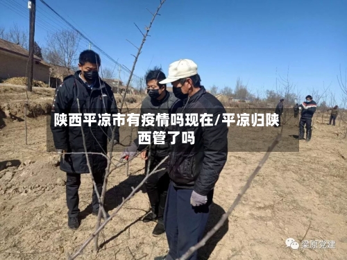 陕西平凉市有疫情吗现在/平凉归陕西管了吗-第2张图片