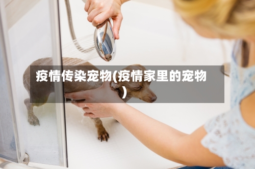 疫情传染宠物(疫情家里的宠物)-第1张图片