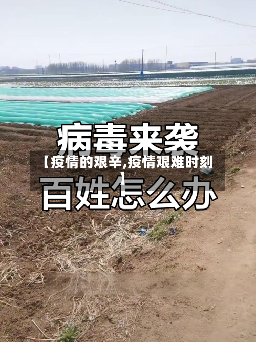 【疫情的艰辛,疫情艰难时刻】-第1张图片