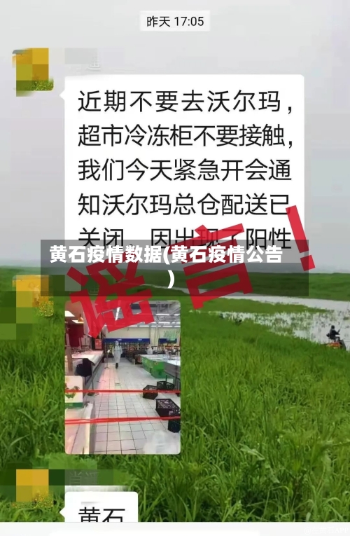 黄石疫情数据(黄石疫情公告)-第1张图片