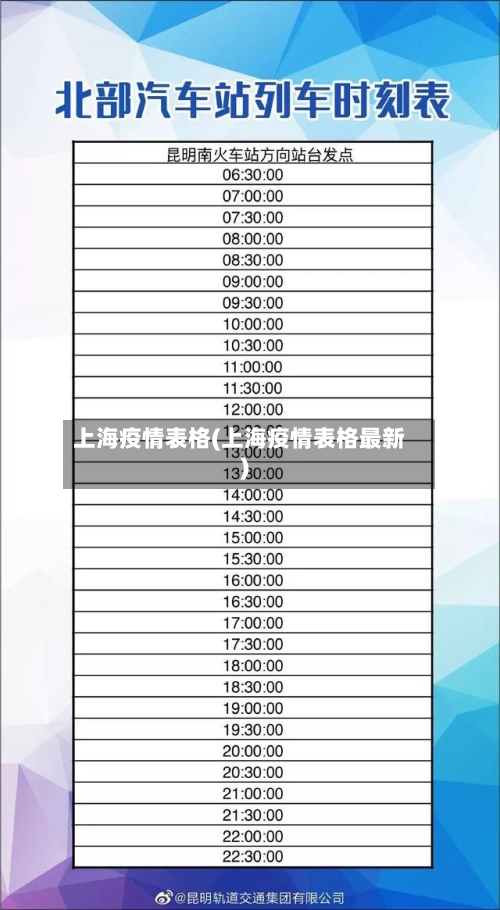 上海疫情表格(上海疫情表格最新)-第2张图片