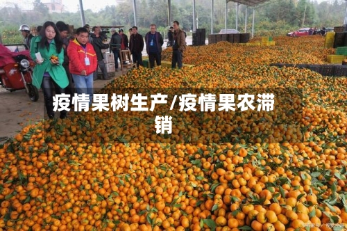 疫情果树生产/疫情果农滞销-第2张图片