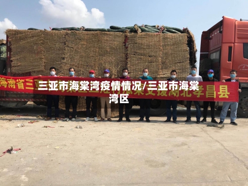 三亚市海棠湾疫情情况/三亚市海棠湾区-第1张图片