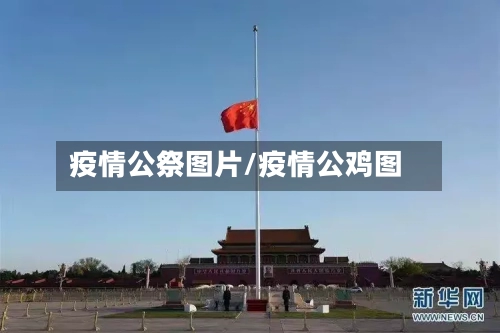 疫情公祭图片/疫情公鸡图-第2张图片