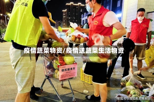 疫情蔬菜物资/疫情送蔬菜生活物资-第1张图片