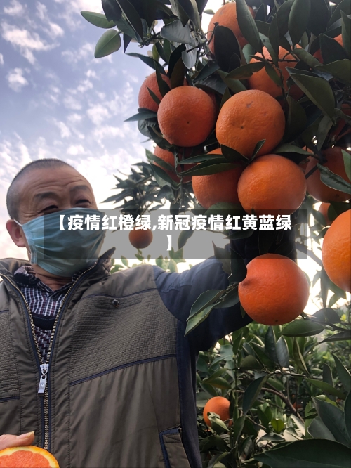 【疫情红橙绿,新冠疫情红黄蓝绿】-第3张图片