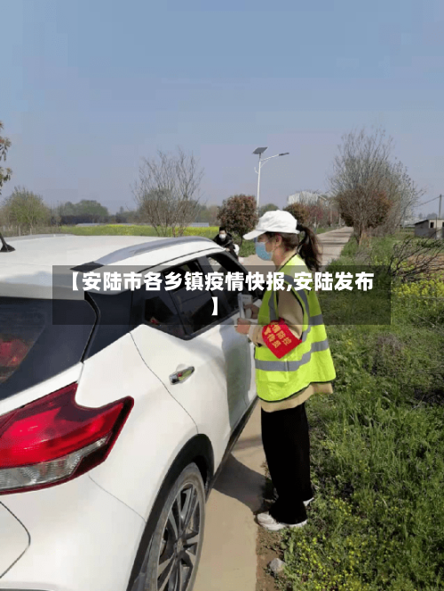 【安陆市各乡镇疫情快报,安陆发布】-第1张图片