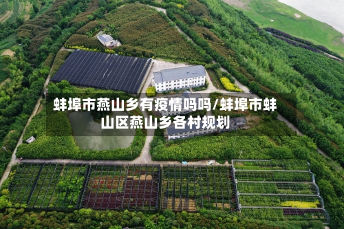 蚌埠市燕山乡有疫情吗吗/蚌埠市蚌山区燕山乡各村规划-第2张图片