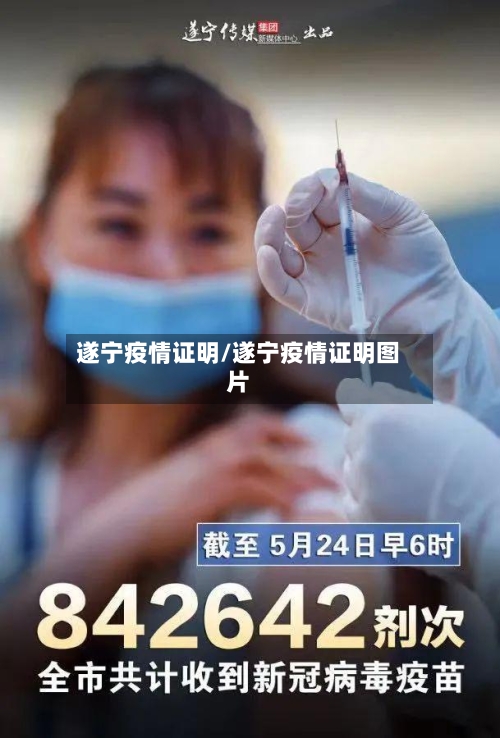 遂宁疫情证明/遂宁疫情证明图片-第3张图片