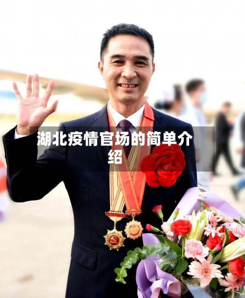 湖北疫情官场的简单介绍-第1张图片