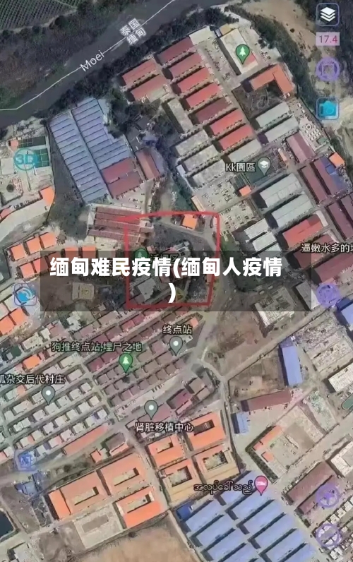 缅甸难民疫情(缅甸人疫情)-第2张图片
