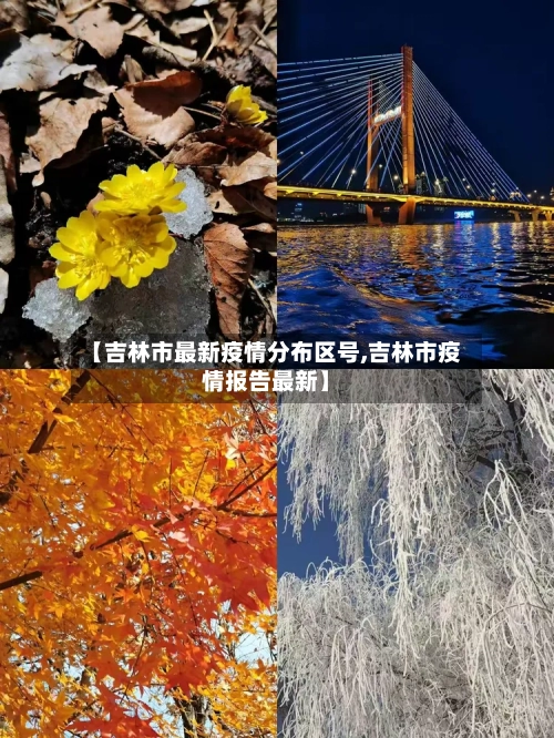 【吉林市最新疫情分布区号,吉林市疫情报告最新】-第2张图片