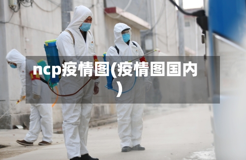 ncp疫情图(疫情图国内)-第3张图片