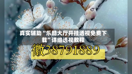 真实辅助“乐酷大厅开挂透视免费下载	”详细透视教程-第2张图片