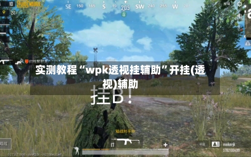 实测教程“wpk透视挂辅助”开挂(透视)辅助-第2张图片