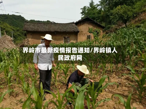 界岭市最新疫情报告通知/界岭镇人民政府网-第1张图片