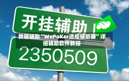 教程辅助“WePoKer透视辅助器”详细辅助软件教程-第3张图片