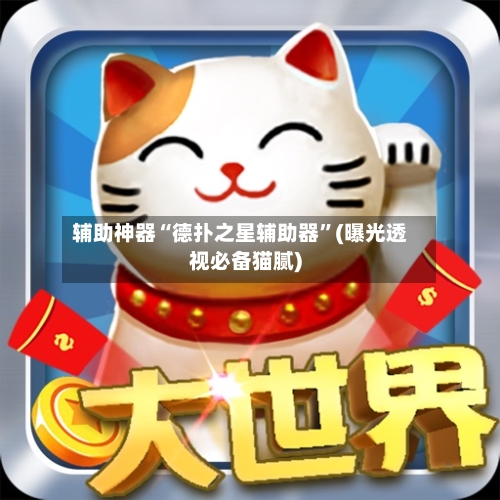 辅助神器“德扑之星辅助器	”(曝光透视必备猫腻)-第1张图片