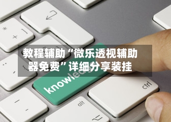 教程辅助“微乐透视辅助器免费”详细分享装挂-第2张图片