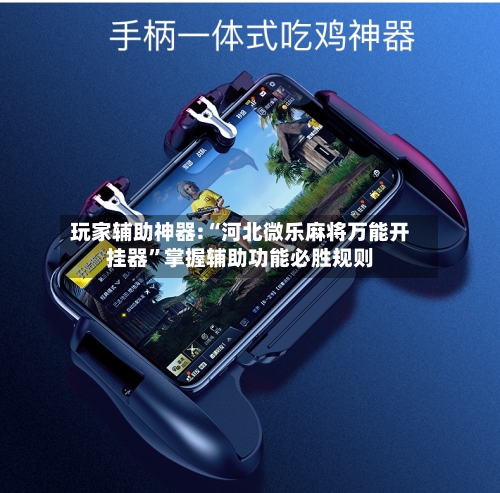 玩家辅助神器:“河北微乐麻将万能开挂器	”掌握辅助功能必胜规则-第1张图片