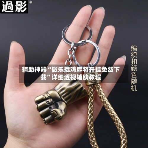 辅助神器“微乐捉鸡麻将开挂免费下载	”详细透视辅助教程-第2张图片