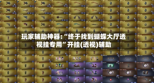 玩家辅助神器:“终于找到蝴蝶大厅透视挂专用	”开挂(透视)辅助-第1张图片