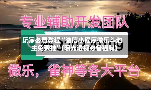 玩家必看教程“微信小程序微乐斗地主免费挂”(曝光透视必备猫腻)-第3张图片