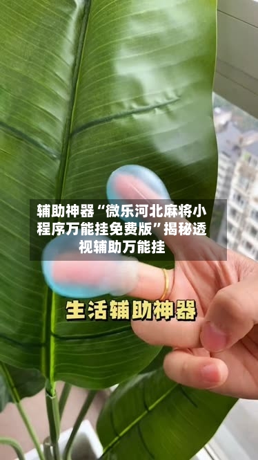 辅助神器“微乐河北麻将小程序万能挂免费版	”揭秘透视辅助万能挂-第1张图片