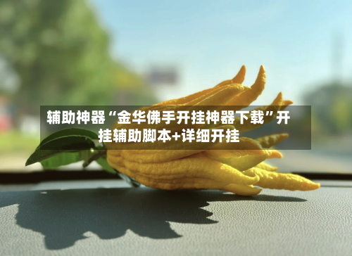 辅助神器“金华佛手开挂神器下载	”开挂辅助脚本+详细开挂-第1张图片