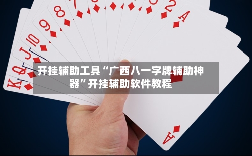 开挂辅助工具“广西八一字牌辅助神器”开挂辅助软件教程-第3张图片